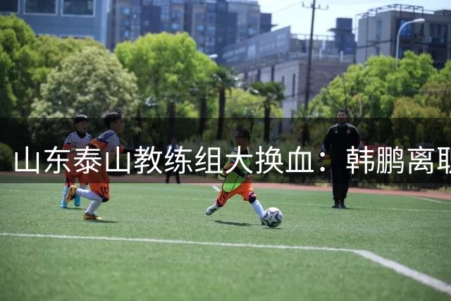 山东泰山教练组大换血：韩鹏离职专心考证 唐田临危受命