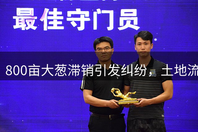 800亩大葱滞销引发纠纷，土地流转问题成焦点